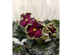 10) РЕ-Дон Жуан