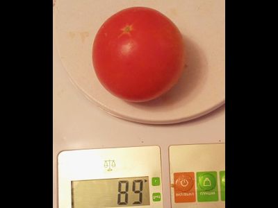 Томат Кубики красные