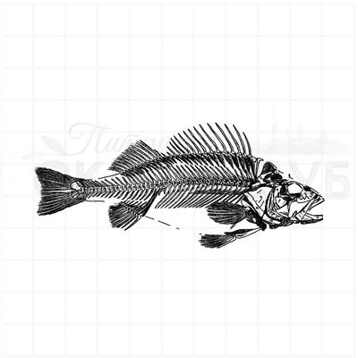 Штамп для скрапбукинга скелет рыбы