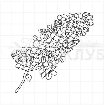 Штамп лист сирени