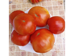 Томат Маршал Победа