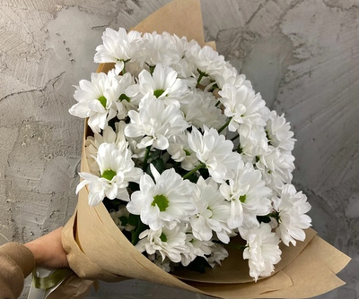 Классический букет из 7 белых кустовых хризантем Баккарди