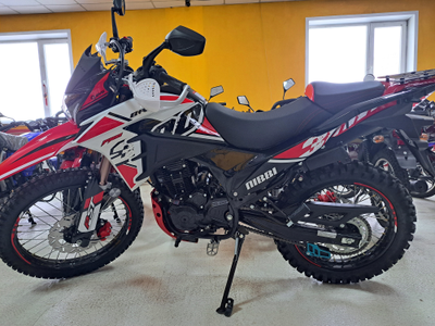 Racer RC300-GY8B Bros