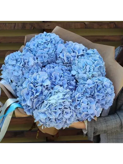 7 нежных гортензий