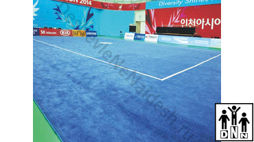 Помост для ушу таолу