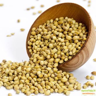 КОРИАНДР СЕМЕНА, Производство Индии  (CORIANDER SEEDS, INDIA), 75Г