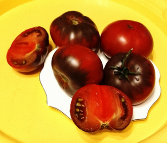 Семена томата Шарбоньер дю Берри