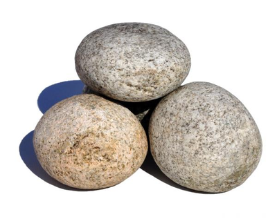 Голыш Кавказ