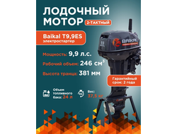 ЛОДОЧНЫЙ МОТОР BAIKAL 9.9HP FAST START (электростартер)
