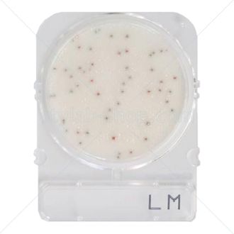 Подложки Compact Dry LM (листерия моноцитогенес)