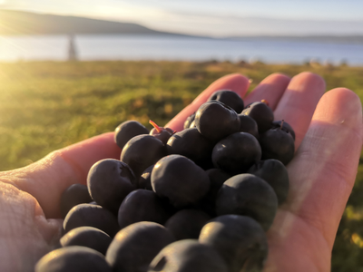 Тур на полуостров Рыбачий (4 дня)