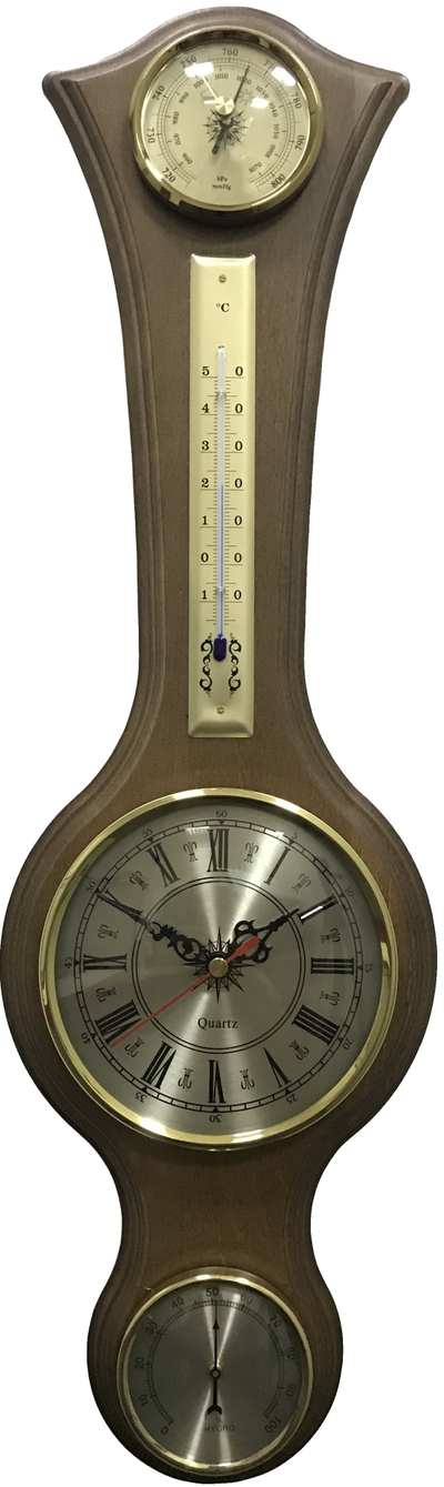 Метеостанция Бриг БМ94045-ЧТГБ-О