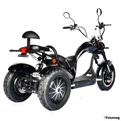 Электроскутер SKYBOARD Elbrus TRIKE CHOPPER-4000 W