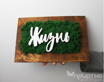 ЖИВАЯ ЭКО-КАРТИНА 1045