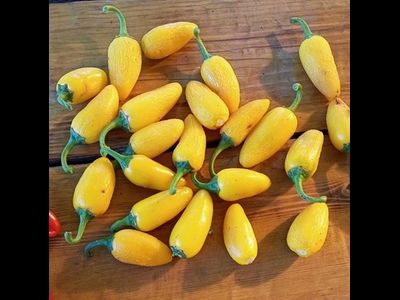Перец острый Халапеньо желтый (Jalapeno Yellow)