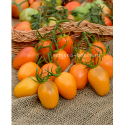 Томат Orange Roma (Оранжевый Римский), 10 шт
