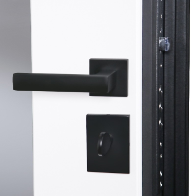 Стальная дверь   Берилл с зеркалом (адаптивная замковая часть). Заказная модель.