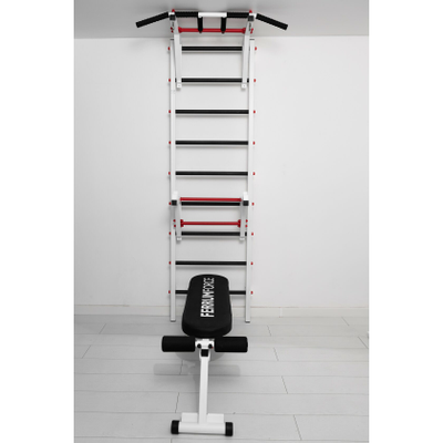 Шведская стенка Ferrum Force F4 купить в Воронеже