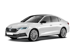 Чехлы на Skoda Octavia А8 (с 2019)