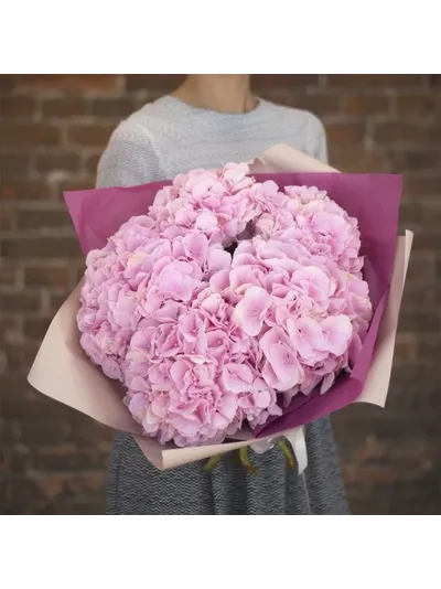 7 нежных гортензий