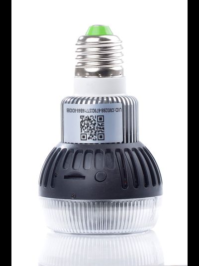 WiFi видеоняня/телекамера (в виде лампы накаливания, цоколь Е27)  с DVR , Full HD 5Mp (Pro iCam)