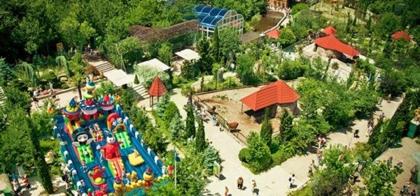 Здесь живут тигры и леопарды, медведи и верблюды, страусы и бегемоты, шимпанзе и жирафы