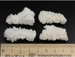 Коралл белый в ассортименте, коллекционный образец, Китай (34-38 мм, 6-7 г) №37626