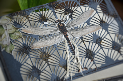 Набор ножей для вырубки "Ар-нуво"