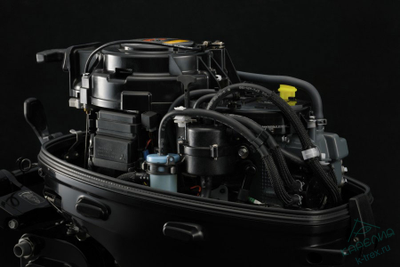 Лодочный мотор Suzuki DF20AS (AL)