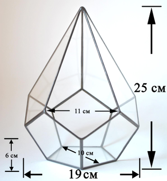 Флорариум "Капля" 25 см, фактические размеры