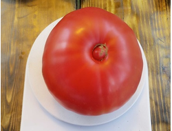 Томат Минусинец