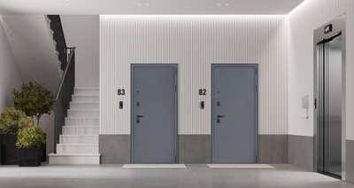 Стальная дверь    Беркут с зеркалом