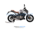 Regulmoto ALIEN MONSTER 300