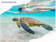 TRIP TO ABU DABAB FROM HURGHADA