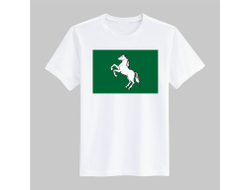 Футболка Томск