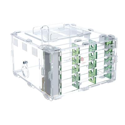 Комплект муравьиной фермы 4ants Crystal L 3.0  с муравьями Messor Structor