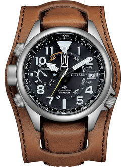 Наручные часы Citizen BN4061-08E