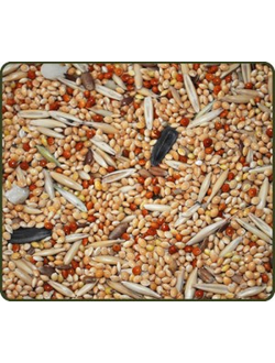 Любимчик для волнистых попугаев с орехами 0,5 кг