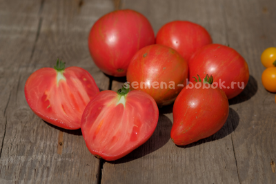 Томат Dwarf Rebel Starfigter Grandpa's Heart (Гном Восставший Звездный Истребитель Дедушкино Сердце), 10 шт