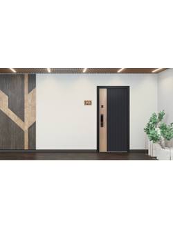 Стальная дверь   Конструктор (биометрический замок Smart lock Y23)