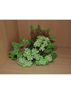 Зелень и цветы