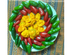 Перец острый Халапеньо ранний (Jalapeno Early)