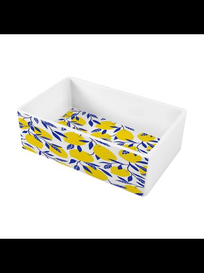 Мойка OMOIKIRI MIKURA 76-LEMON ART COLLECTION