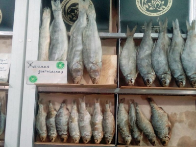 2025г. Астрахань, Волга, Баскунчак "Край цветущего лотоса"