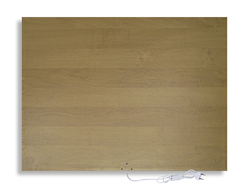 Настенные инфракрасный обогреватель РЭН-5 БАГАН