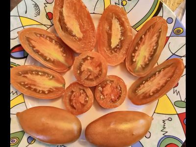 Томат Бронза (Bronza)