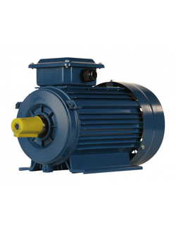 Электродвигатель 5АИ 80А8 (0,37 кВт)