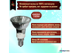 Paulmann Halogen ALU Reflector PAR16 35w 230v E14