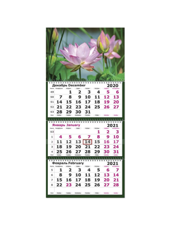 Календарь Полином на 2021 год 330x220 мм (Цветы лотос)