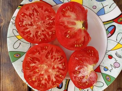 Томат Санта Лючия, (Sainte Lucie) США